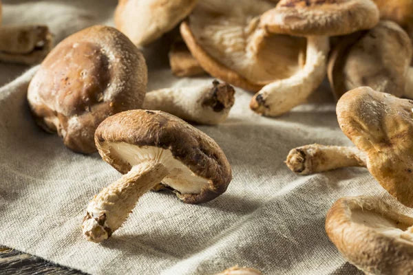 What You Didn't Know About Shiitake Mushrooms