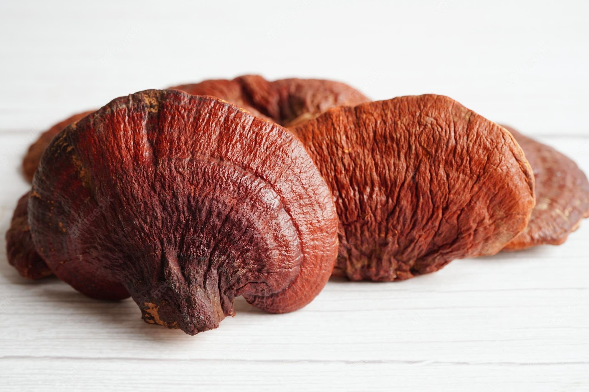 Reishi Mushrooms: The Ancient Secret to a Long and Healthy Life