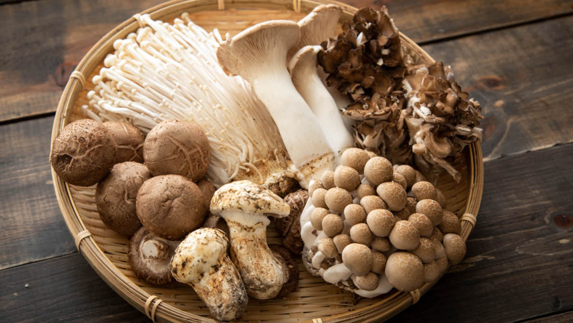 3 Best Medicinal Mushrooms to Improve Your Immune System